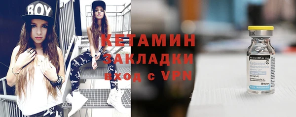 индика Осинники