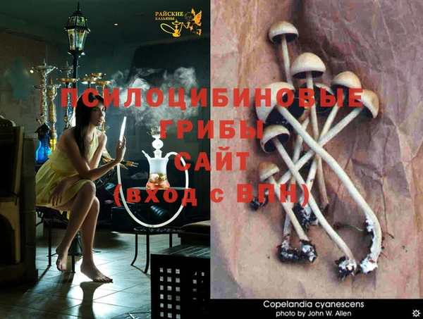 MDMA Premium VHQ Арсеньев